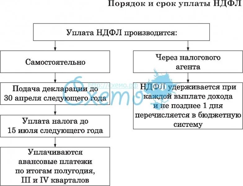 Порядок исчисления уплаты НДФЛ схема. Порядок и сроки исчисления налога НДФЛ. Порядок исчисления НДФЛ В бюджет. Порядок уплаты НДФЛ физическим лицом. Уплата ндфл организацией