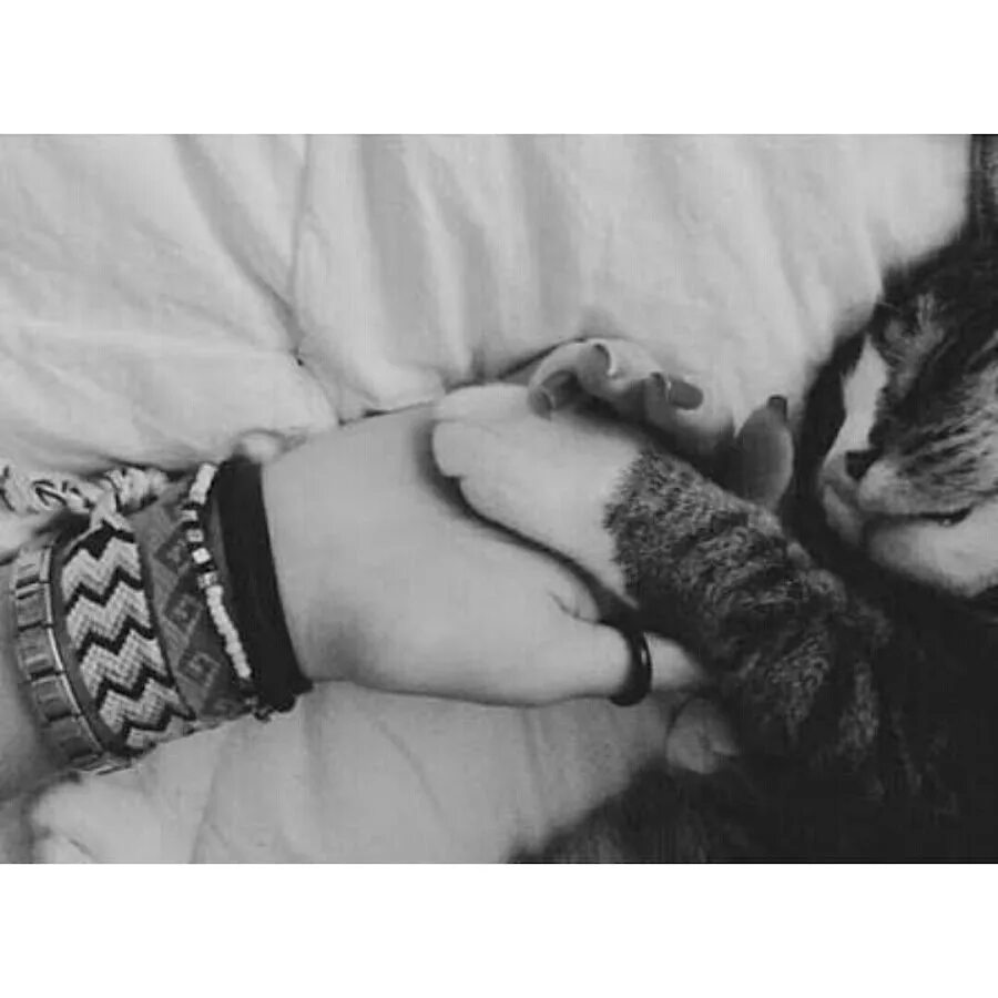 Киса руки. Кот на руках. Девушка с котом на руках. Кошка пук. Котенок на руках.