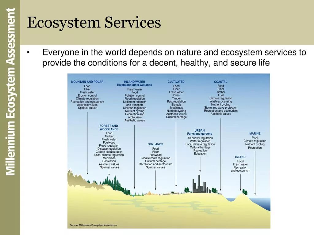 What is the ecosystem. Ecosystem services. what is an ecosystem. millennium ecosystem assessment. ecosystem ecosystem pr 2000.