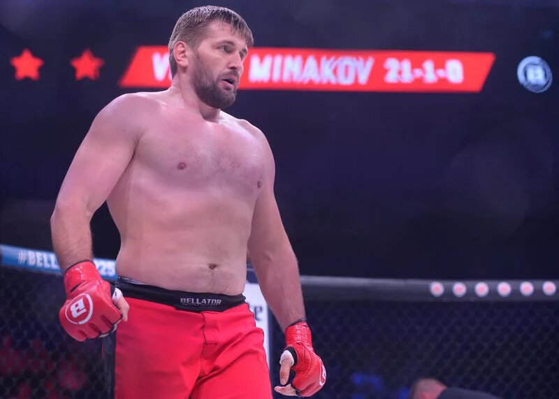 Минаков ю н. Минаков ю н