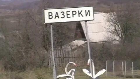 Вазерки пензенская
