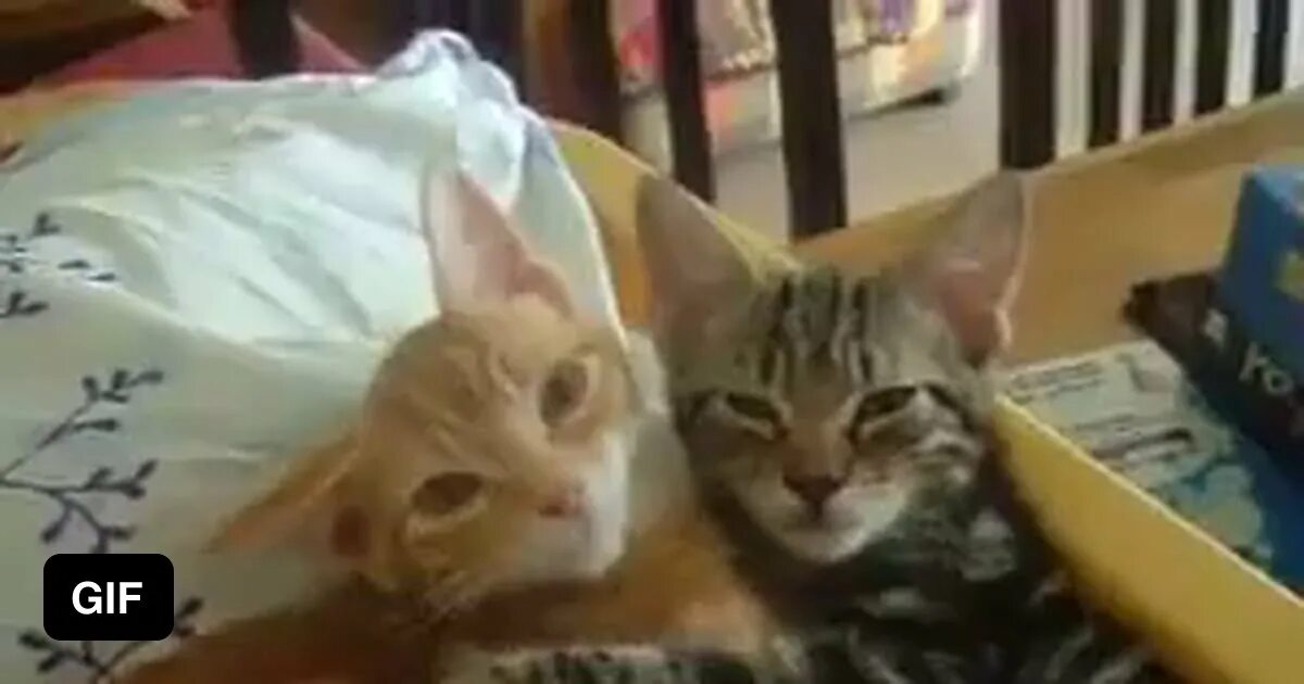 This could be us but you playing. This could be us but you playing
