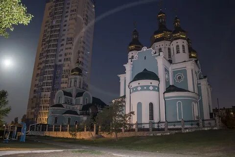 Березняки
