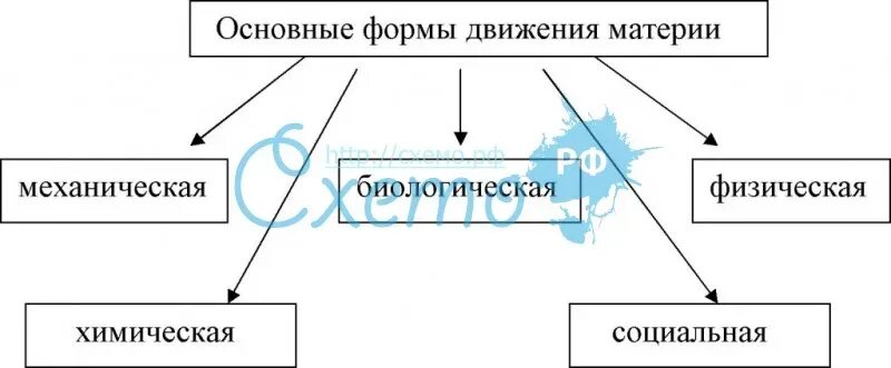 Назовите формы движения. Движение и основные формы движения материи. Формы движения материи в философии. Физическая форма движения материи. Формы движения материи таблица.