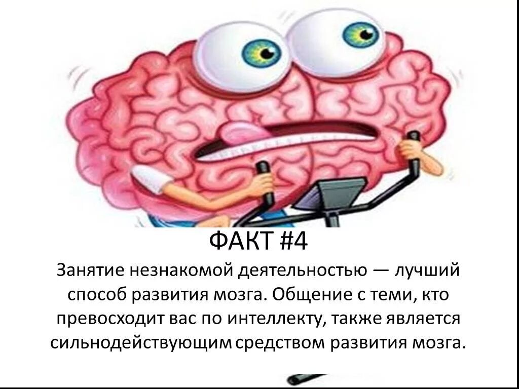 Интересные факты о мозге. Интересные факты о головном мозге. Факты о головном мозге человека. Интересные факты о мозге человека для детей.