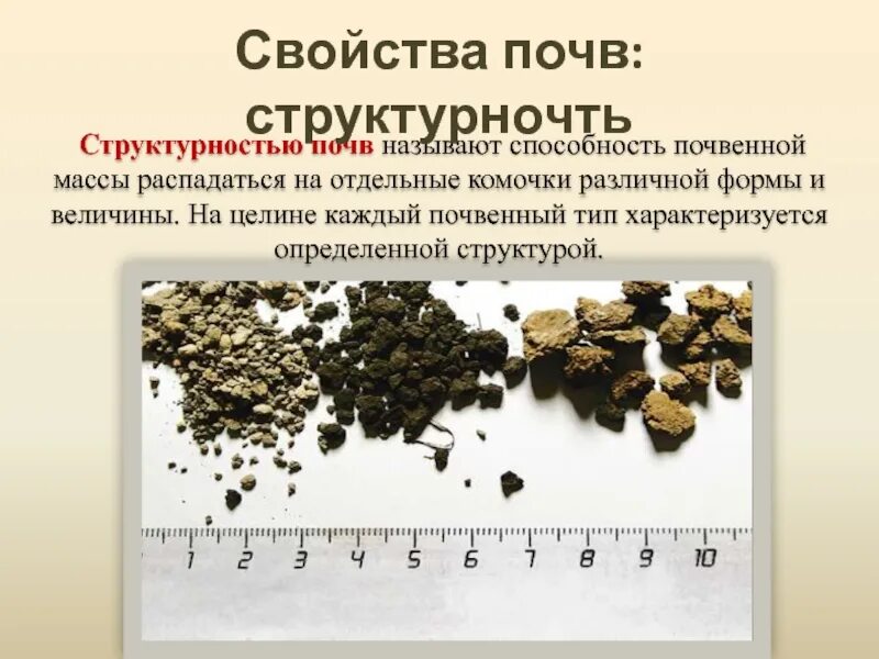 Как называется основное свойство почвы. Структура почвы. состав и структура почвы. структурность почвы. свойства почвы.