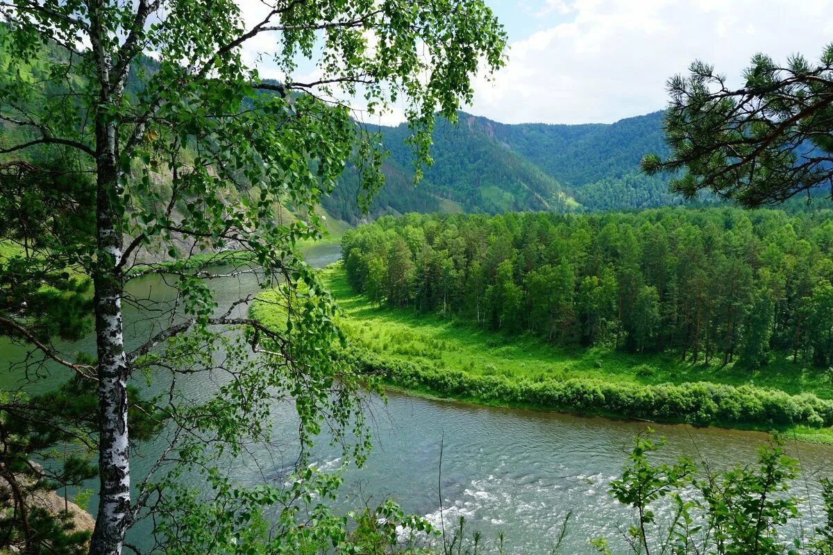 Река Мана Красноярск. Речка Мана Красноярский край. Мана река в Красноярском крае. Природа Красноярского края Мана. Какая природа в красноярске