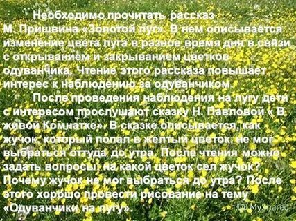 Золотой луг изложение