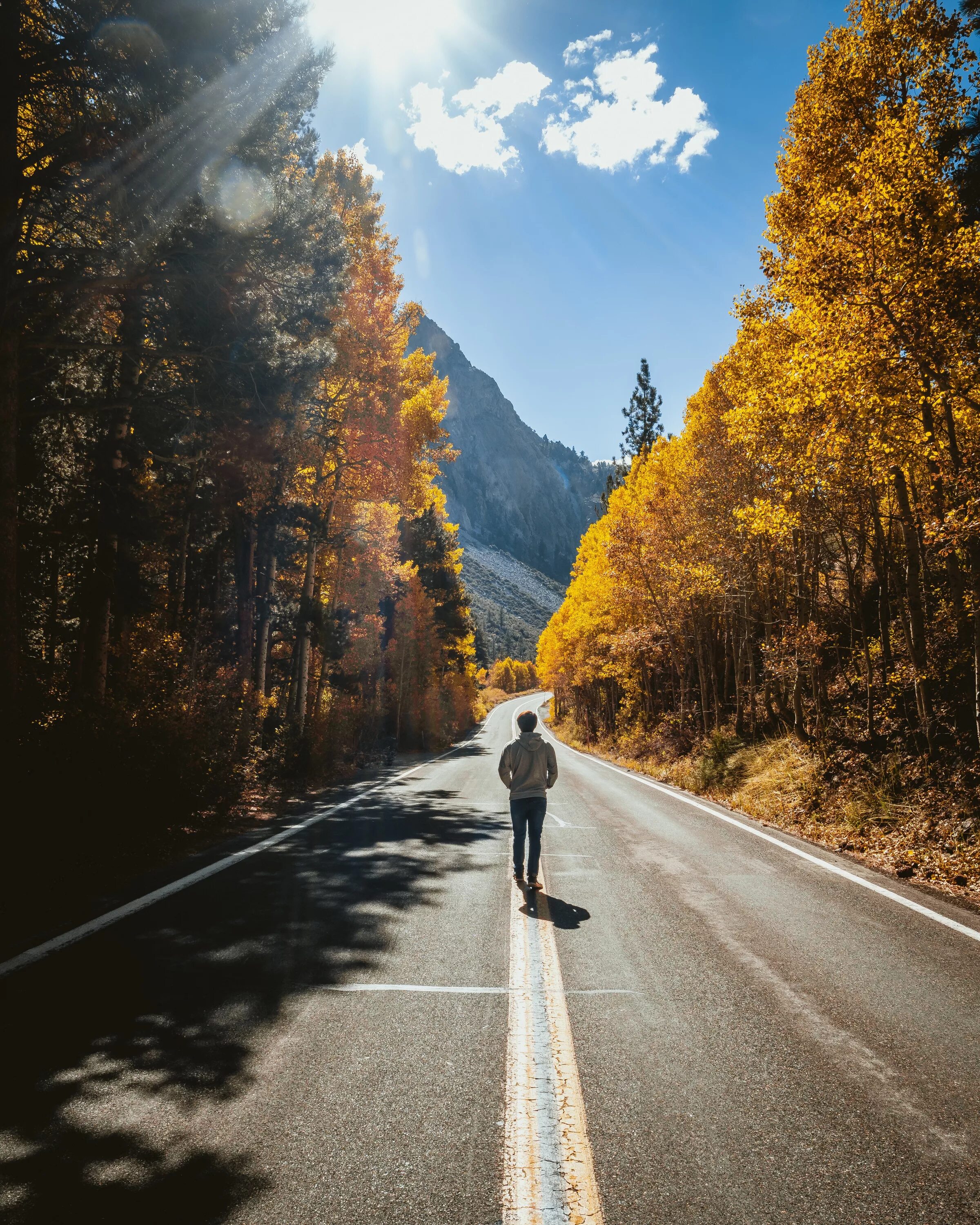 Шли на встречу путникам. Осенняя дорога. Человек на дороге. Красивые дороги. Пейзаж с дорогой.