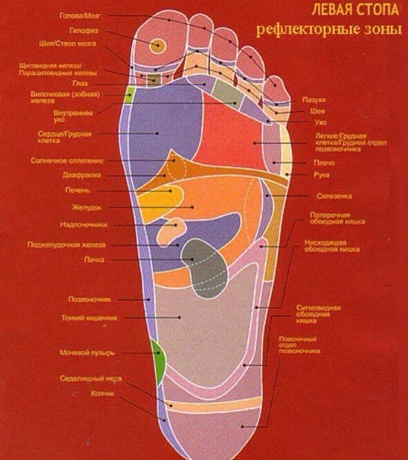 Карта в стопе метро. Точки органов на стопе человека китайская медицина. Рефлекторные зоны стоп ног. Стопы голова акупунктурные точки. Рефлексогенные точки стопы.