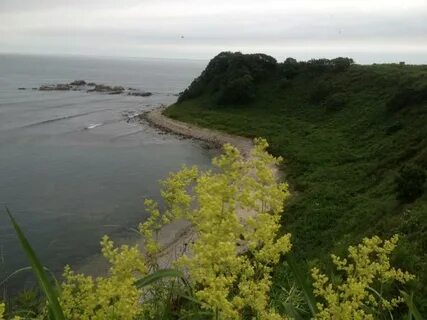 Приморск южный