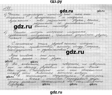 Упражнение 88 русский 6 класс