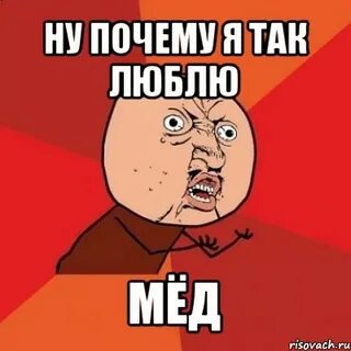 Ну медятина