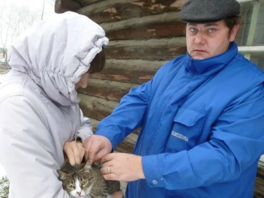 Случай в деревне 1. Фото вохомских рыжиков Костромской области.