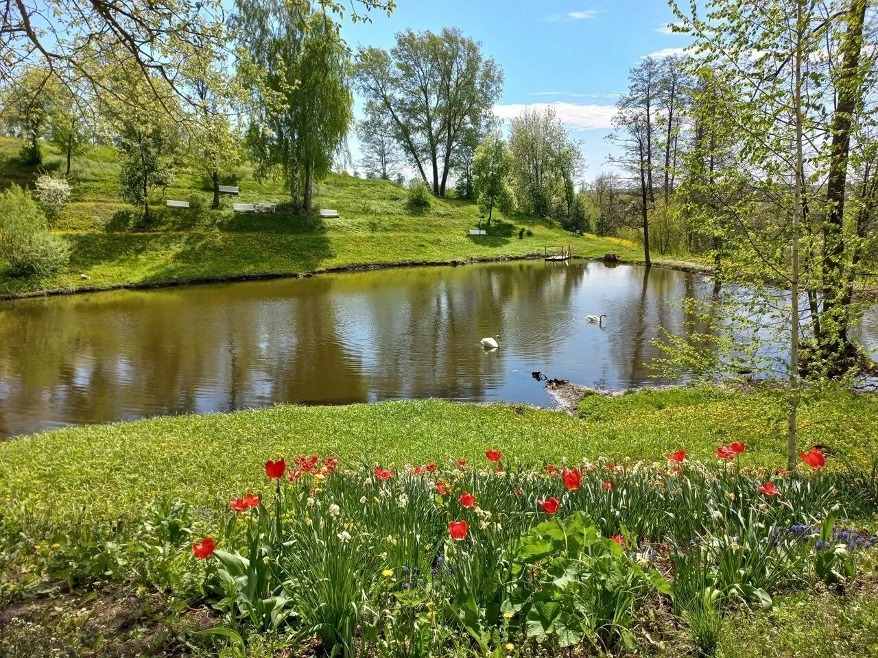 Доброе курская область. Усадьба Фета Курская область. Воробьевка Курская область усадьба Фета. Курская область природа. Луга Курской области.