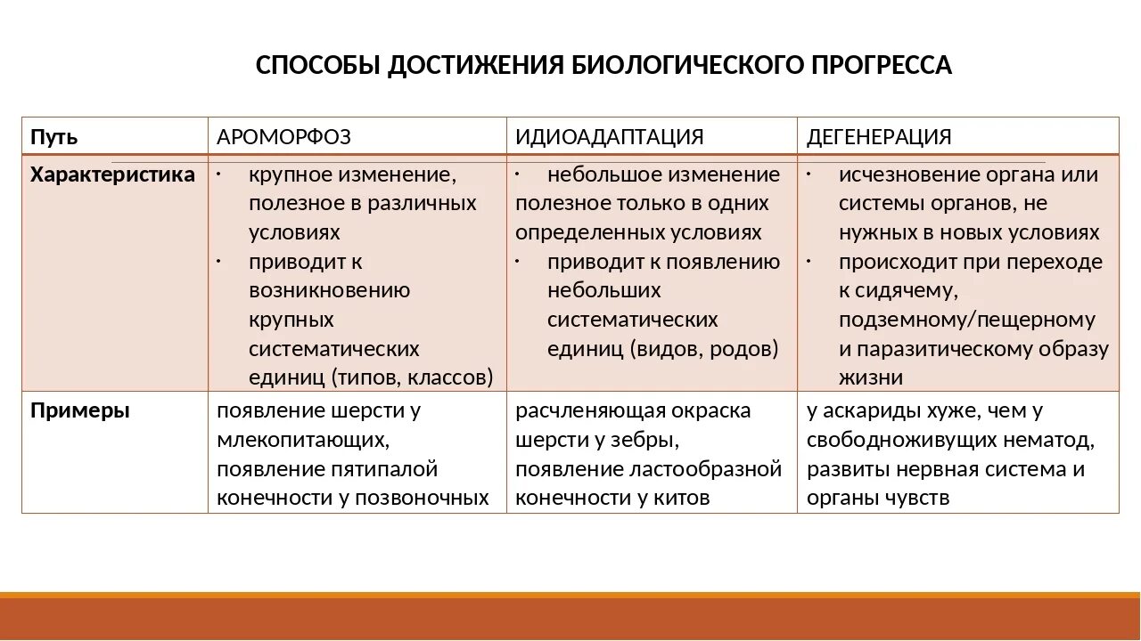 Основные пути достижения биологического прогресса примеры