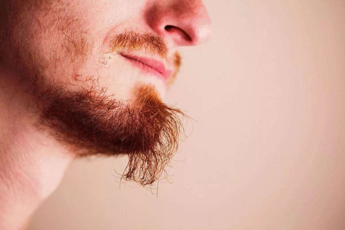 Борода. Редкая борода. Козлиная борода. Рыжая бородка на подбородке.