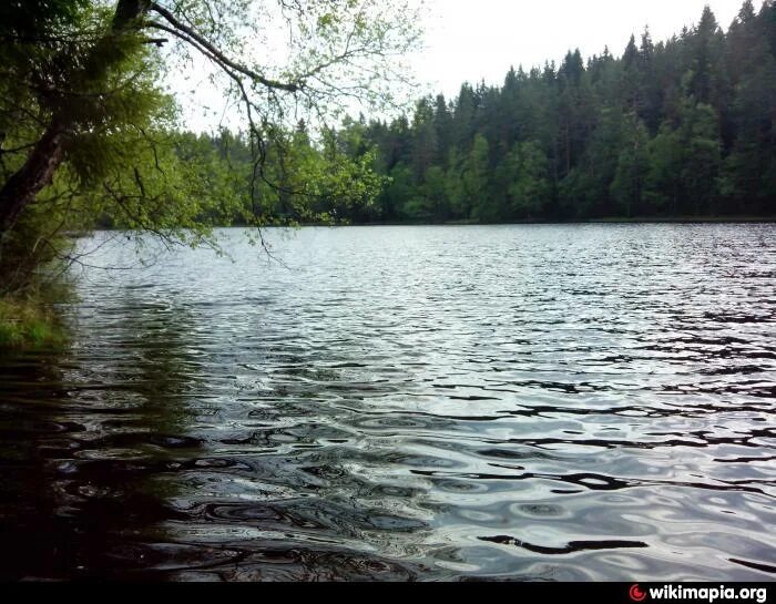 Заклинское озеро лужский район. Озера 2016. Озера 2016. 3. Озеро анджикуни канада фото.