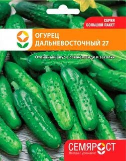 Дальневосточный 27 огурцы отзывы описание