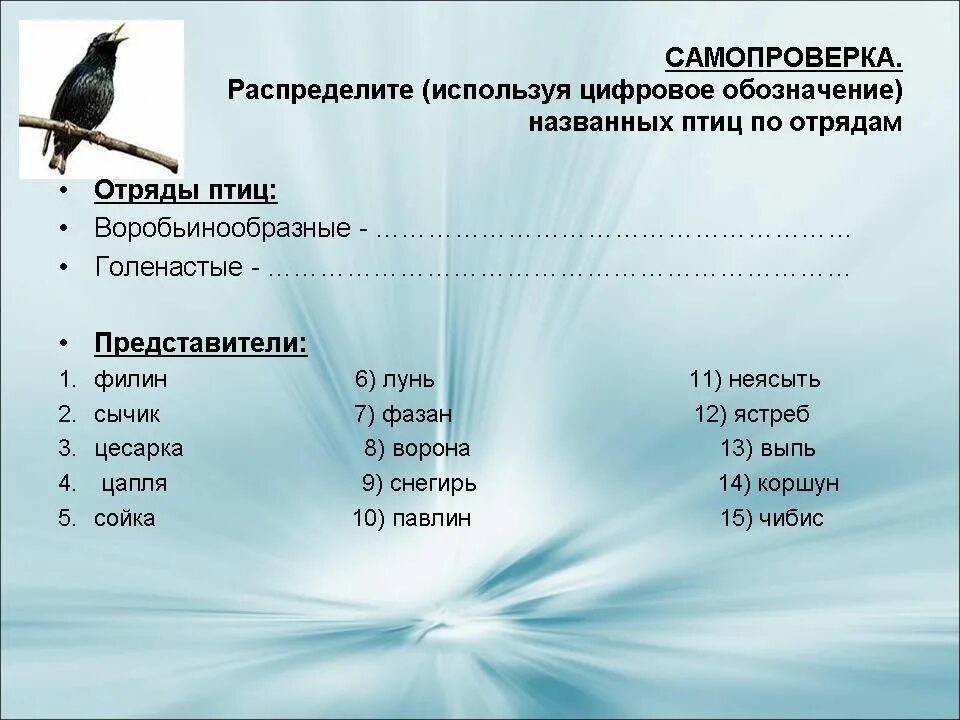 Проверочная работа класс птицы 8 класс биология. Отряды птиц. название отрядов птиц. класс птицы представители. отряды птиц презентация.