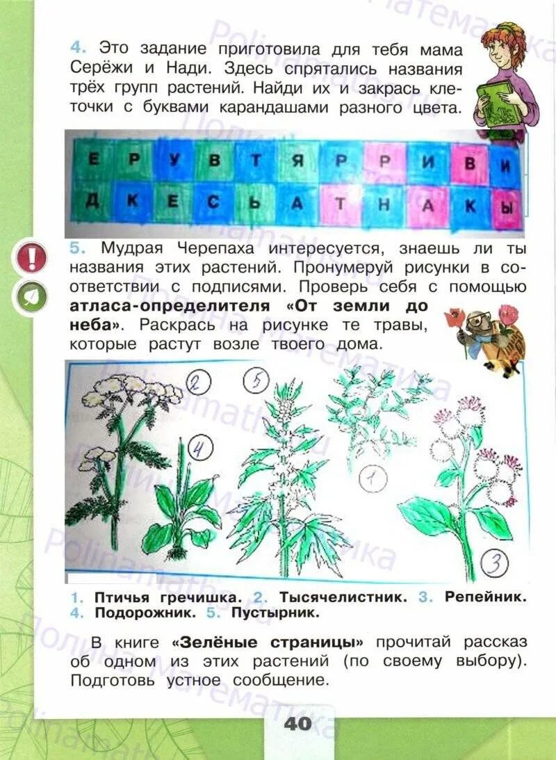 Рабочая тетрадь окружающий мир 2 класс школа России. Рабочая тетрадь по окружающему миру 2 класс. Школа России окружающий 2 класс рабочая тетрадь. Окружающий мир 2 класс рабочая тетрадь 1 часть стр 40. Окружающий мир 2 класс 40 43