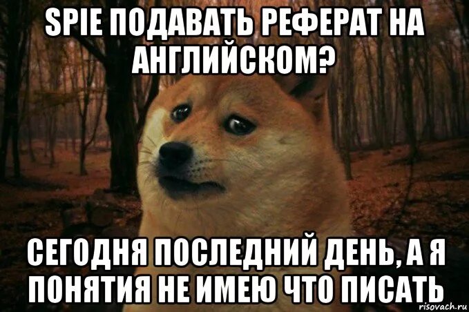 Понятие мем. Собака за компьютером. Теория большого взрыва цитаты шелдона. Термины мем. Не понятие.