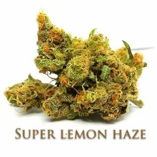Haze piece подарки