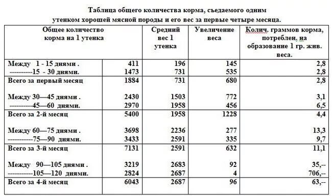 Массами утку. Вес уток мулардов таблица. Белые московские утки порода. Порода уток черри велли. Основные породы уток.