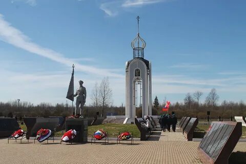 Мясной бор новгородская область