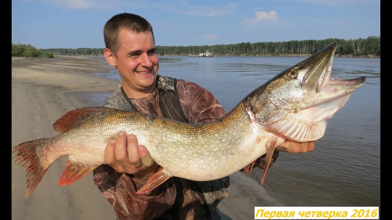 Рыба реки иртыш