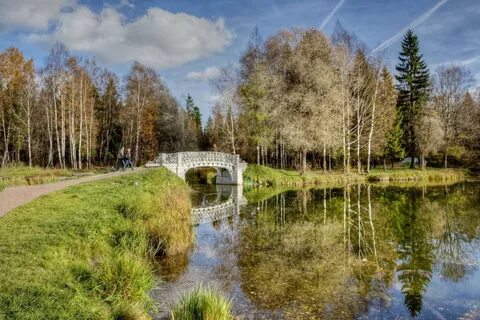 Гатчина севилья