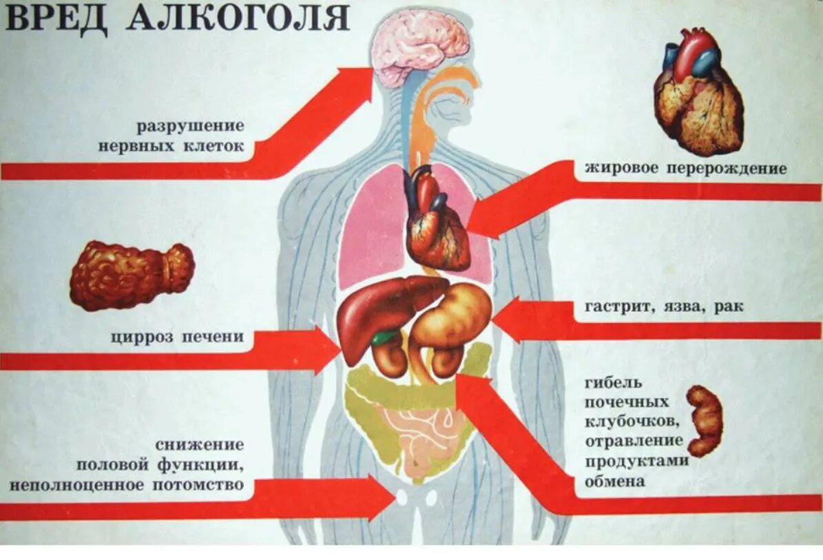 Страдать вредно