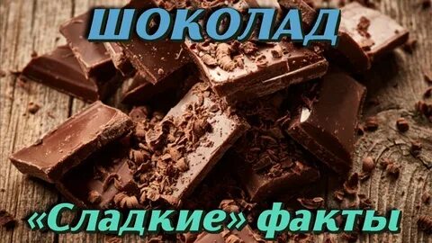 Факты о шоколаде