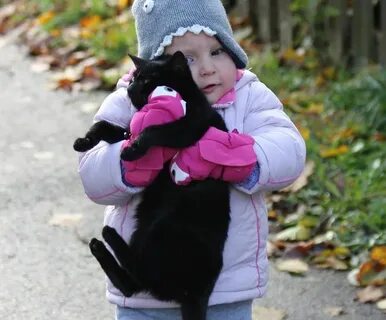 Коты дети в городе
