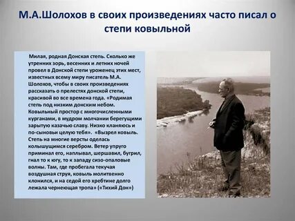 В каком произведении в степи
