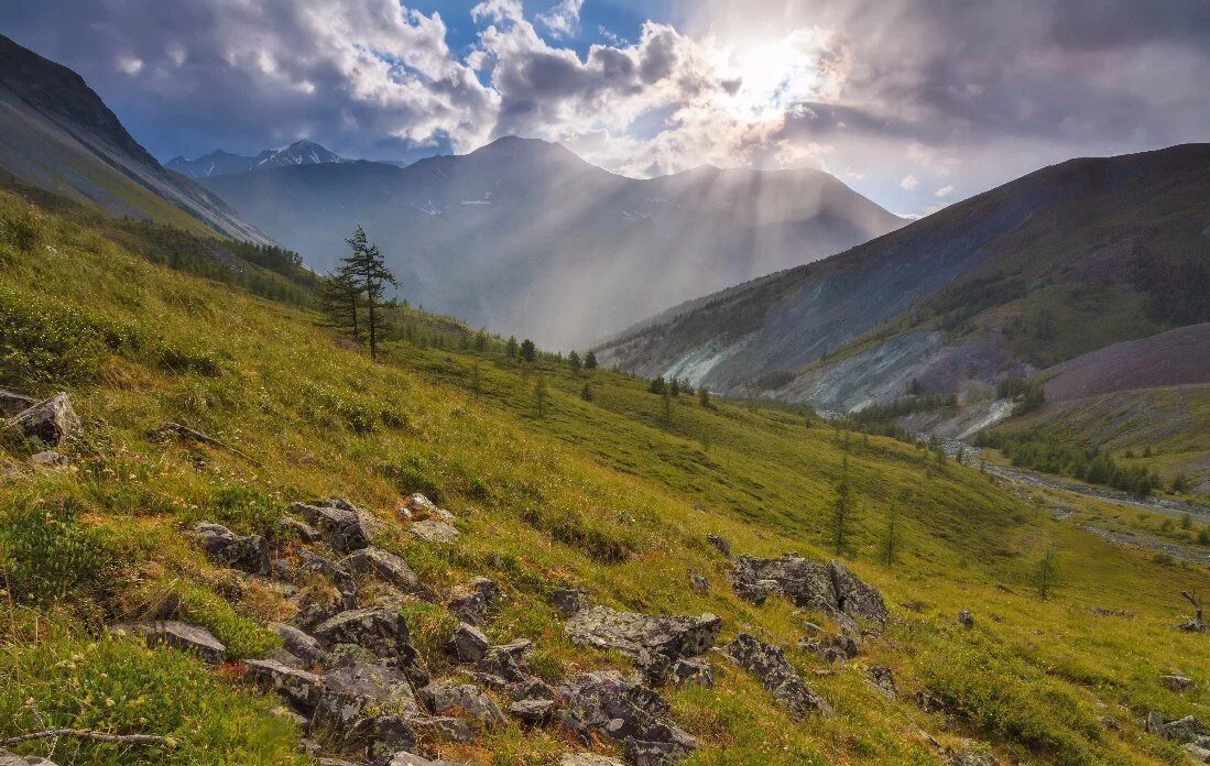 Долина чулышмана каменные грибы. Горы алтая чулышман. Прогноз долине. Долина наблуса. Прогноз долине.