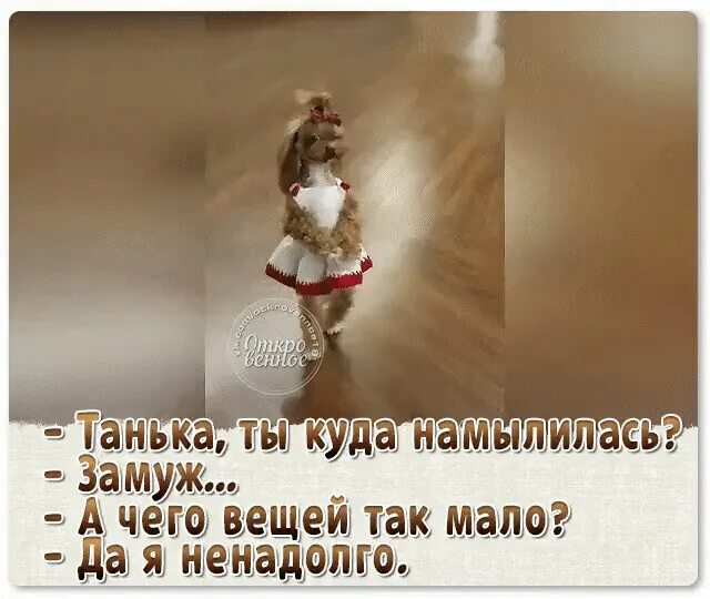 Очень ненадолго. Куда мы танька. очень приятно это ненадолго. приколы про таньку. танька прикольные картинки.