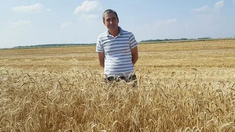 Рп5 зерновой саратовская область