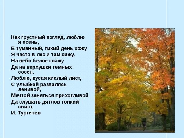 Молчалив и задумчив осенний лес знаки препинания. Стих Тургенева осень. В осеннем лесу стих. Стихотворение лес осенью. Осенний день и. Тургенев.