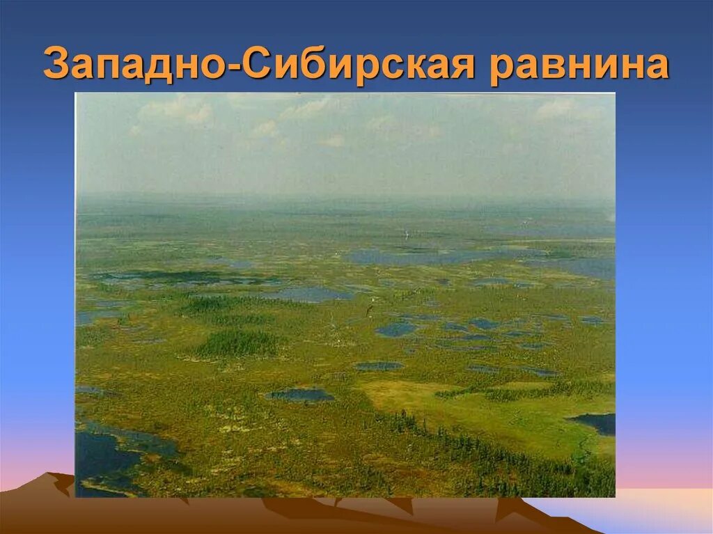 Равнины урок географии 5 класс. Растительность Западной Сибири равнины. Западно-Сибирская низменность. Восточно-европейская равнина и Западно-Сибирская равнина. Равнины Западной Сибири.