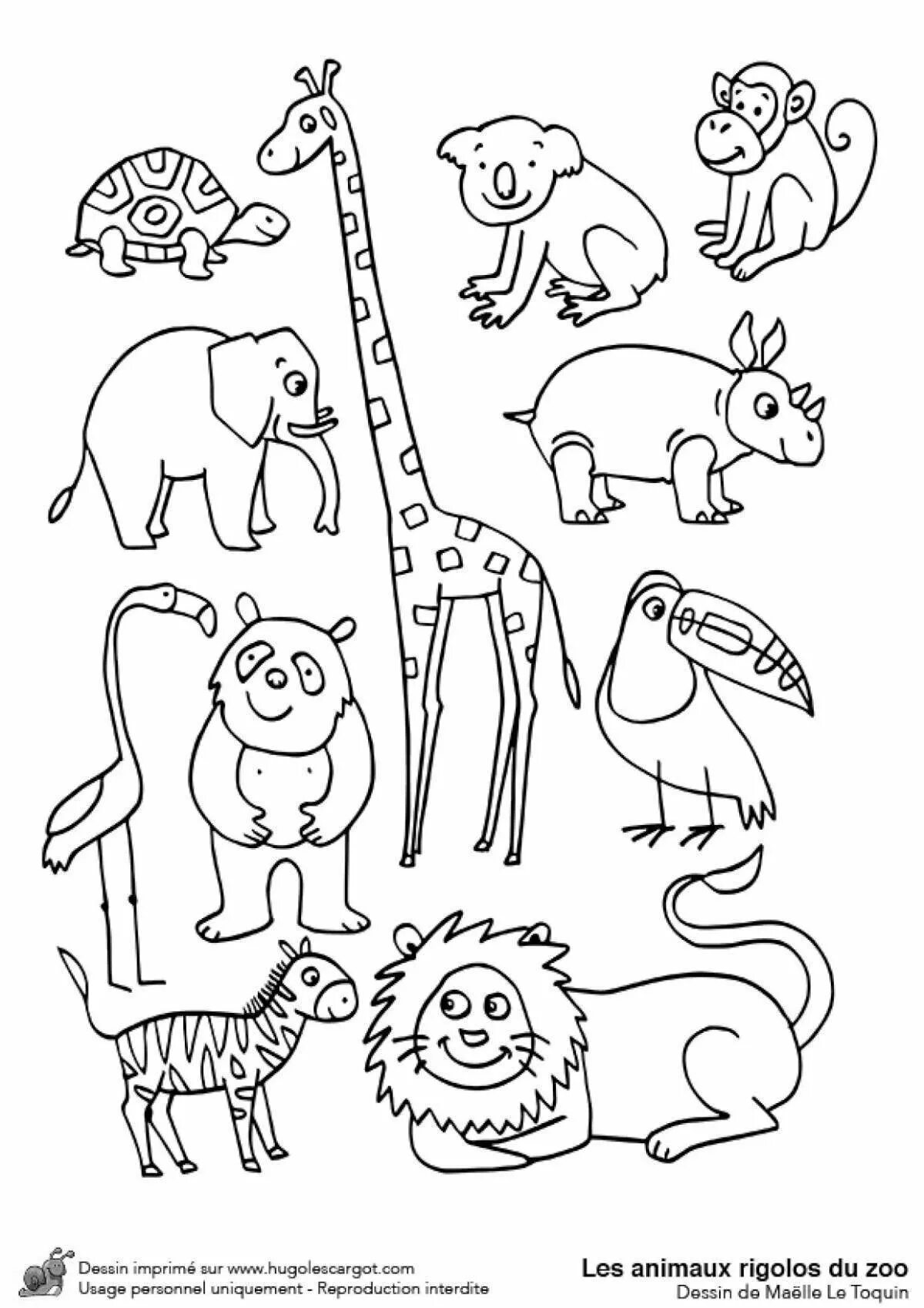 Рисуем животных зоопарка. Раскраска зоопарк. Раскраски животные для детей. Животные зоопарка раскраски для детей. Раскраска для малышей. Зоопарк.