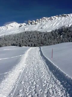Снег спуск