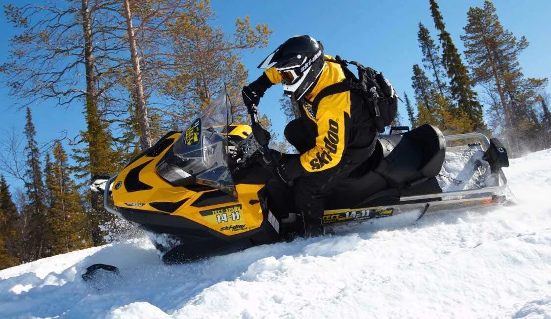 Снегоход BRP Tundra 550 WT;. Снегоход Ski-Doo Tundra WT 550. БРП Скандик 550. BRP Skandic 550 WT.