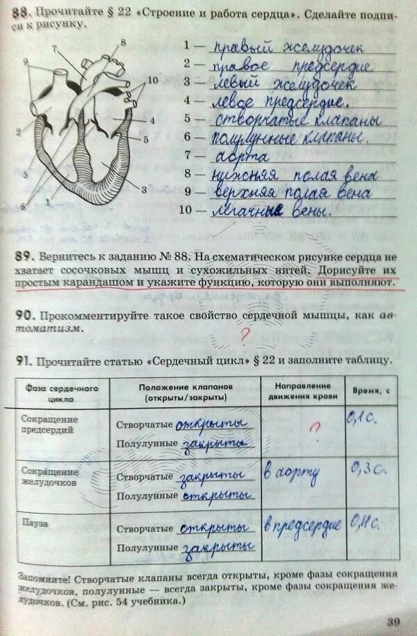 Прочитай статью 8. Заполните таблицу сердечный цикл. прочитайте статью сердечный цикл 22 и заполните. прочитайте статью сердечный цикл и заполните таблицу. прочитайте раздел сердечный цикл заполните таблицу.