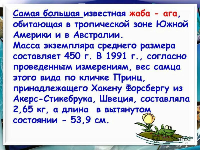 Из за чего могут пропасть лягушки. Презентация лягушка голиаф. Озёрная лягушка вымётывает икру одним комком или отдельными кучками. Известно что лягушки. Образ жизни амфибий кратко.