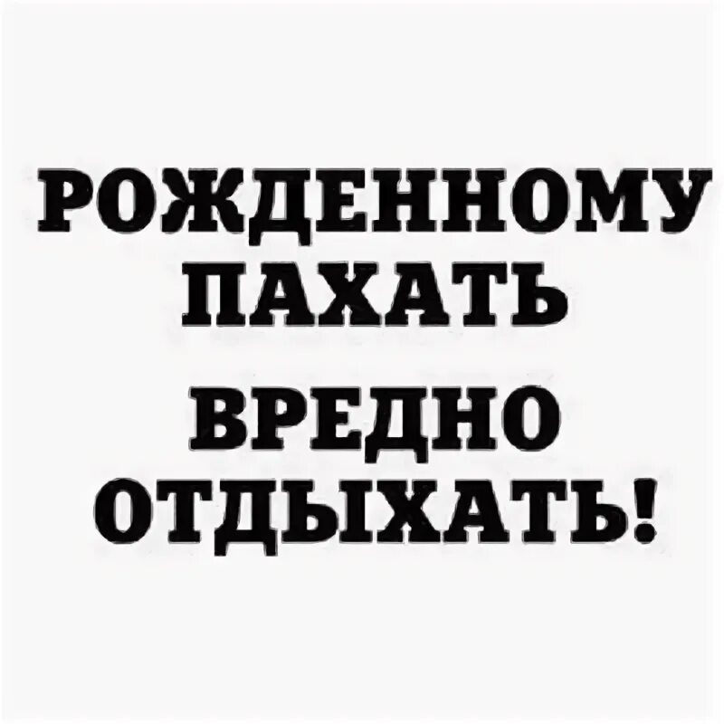 Пахать цитаты. Рожденному пахать вредно отдыхать. рожденному пахать вредно отдыхать картинка. да не тебе пахать надо. кружка рожденному отдыхать вредно пахать.