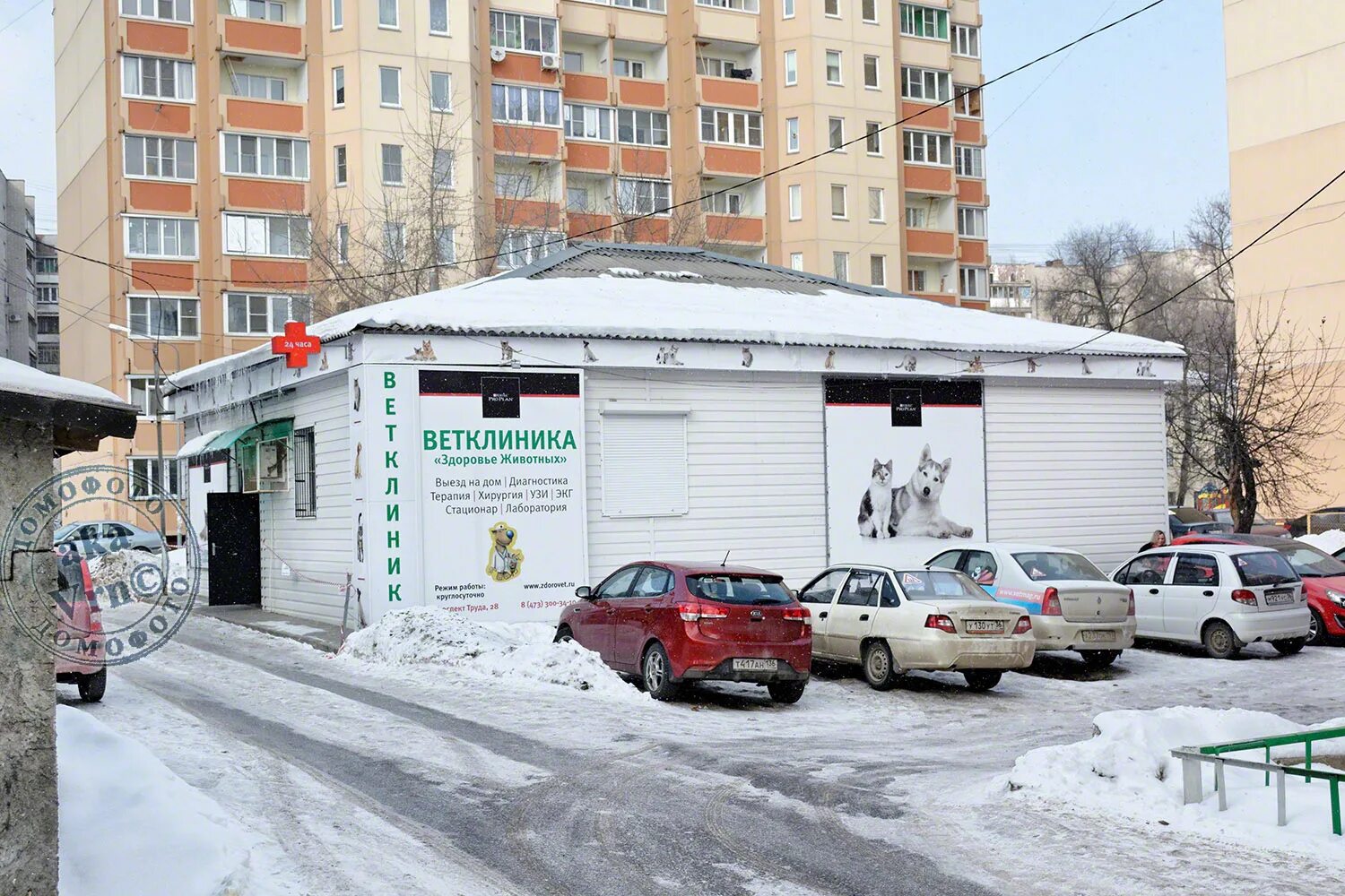 Труд всем воронеж. Проспект труда 28. воронеж, пр труда 28. проспект труда 28 воронеж здоровье животных.