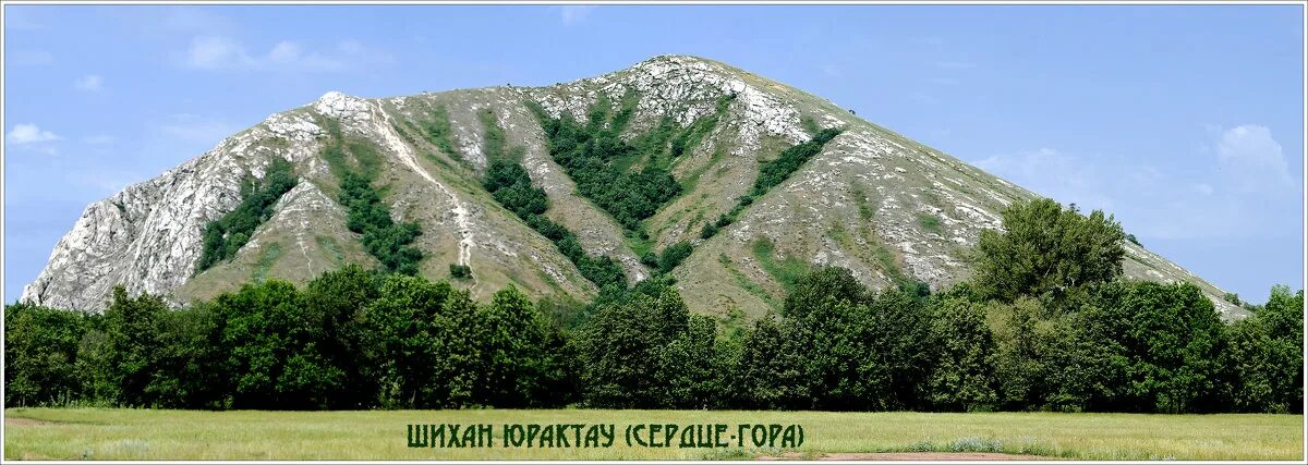 Шиханы состоят из четырех гор одиночек. Гора Шихан в Башкирии. Шихан Юрактау. Шихан Юрактау Башкирия. Гора Юрактау Стерлитамак.