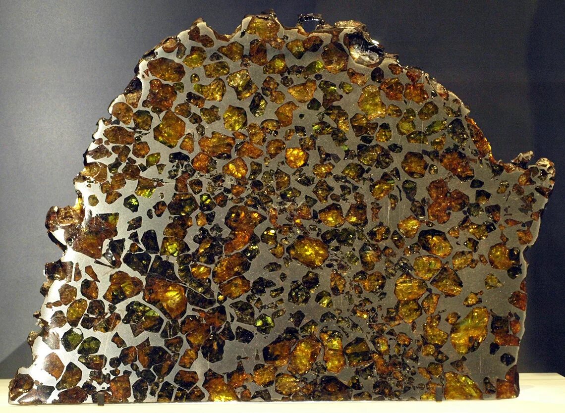 Thin section of a chrondritic meteorite. From "Photographic Catelogue of the Ant
