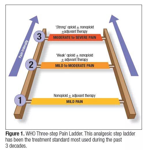 The steps included in. The ladder - the ladder 1986. steep steps ladder. marking for ladder dengeres zones. ladder contermeasuresments quality control.